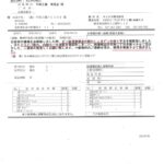 マックス 充電式ピンネイラ TJ-35P1-BC（1.5Ah）